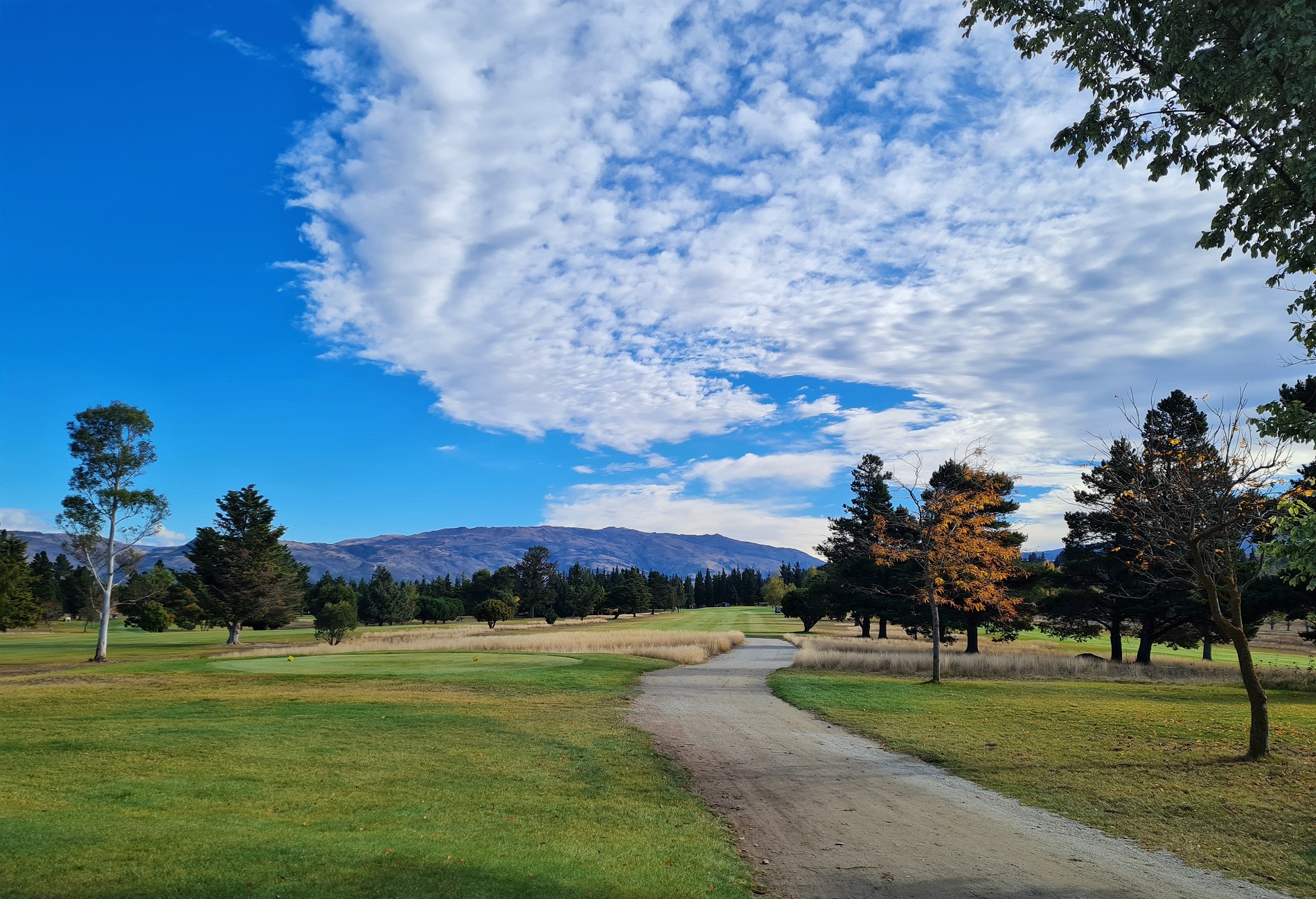 Alexandra Golf Club - A Slice of NZ Golf