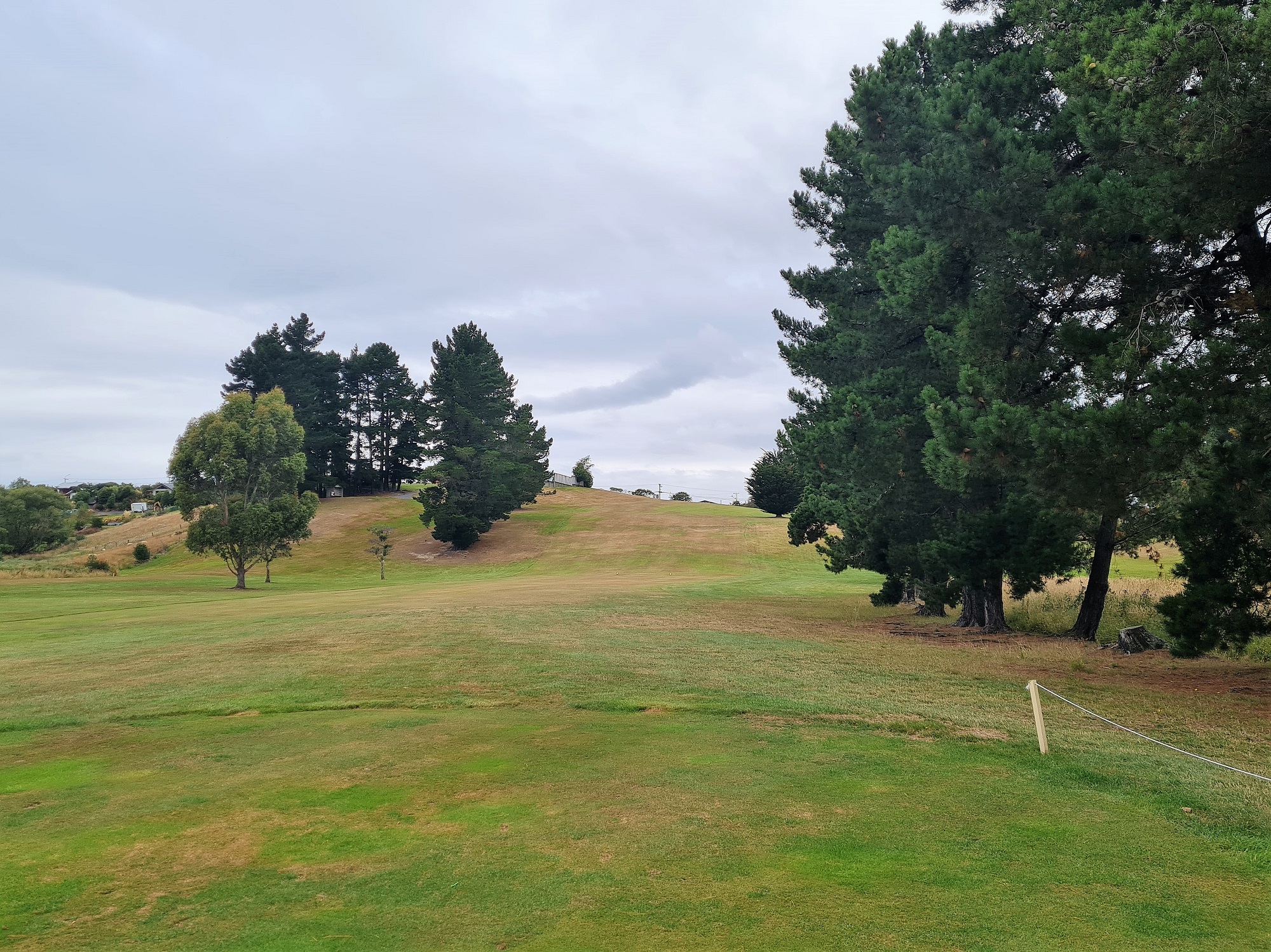 Island Park Golf Club A Slice of NZ Golf